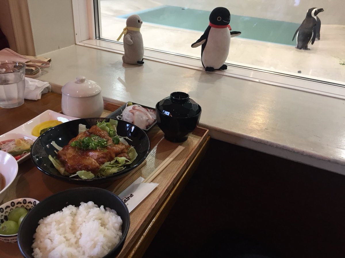☆ペンギン☆ tweet media