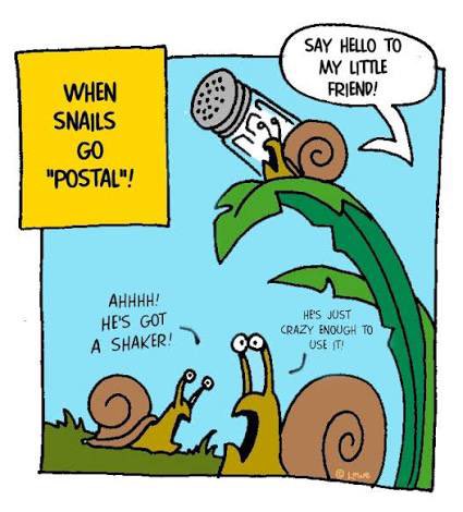 Snail tweet media