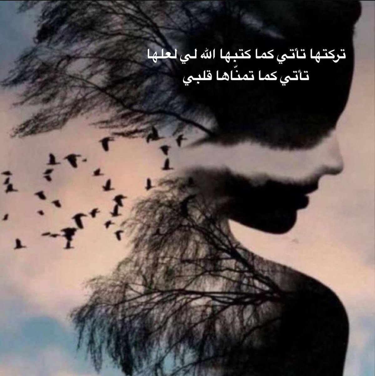 nanajerman tweet picture
