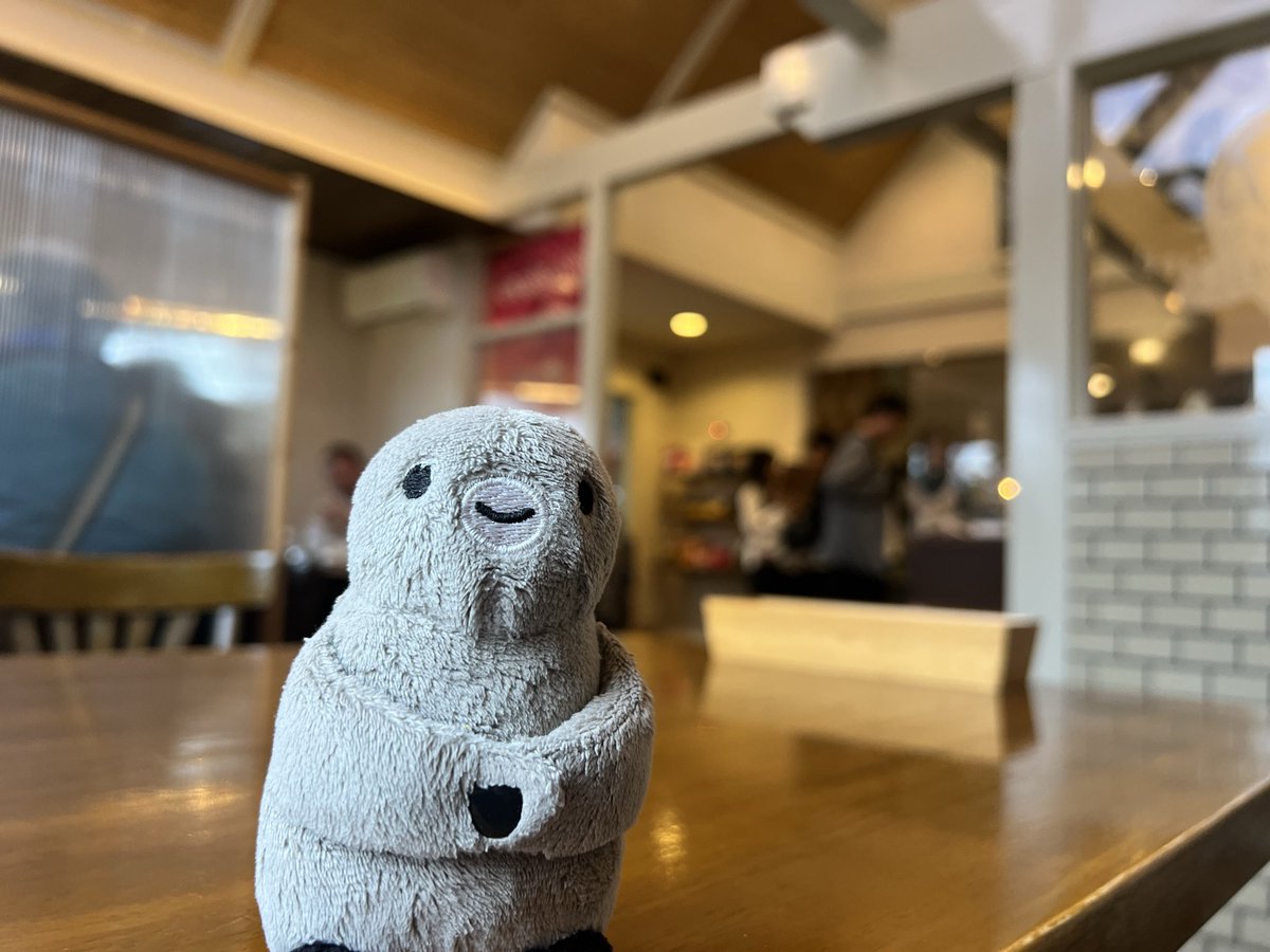 ☆ペンギン☆ tweet media