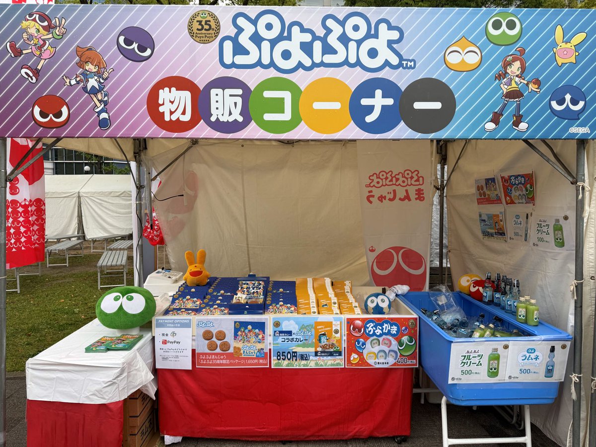 みどりぷよ（ぷよぷよシリーズ公式） tweet media