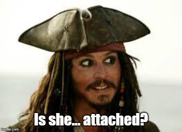 Jack Sparrow 🇺🇸 tweet media