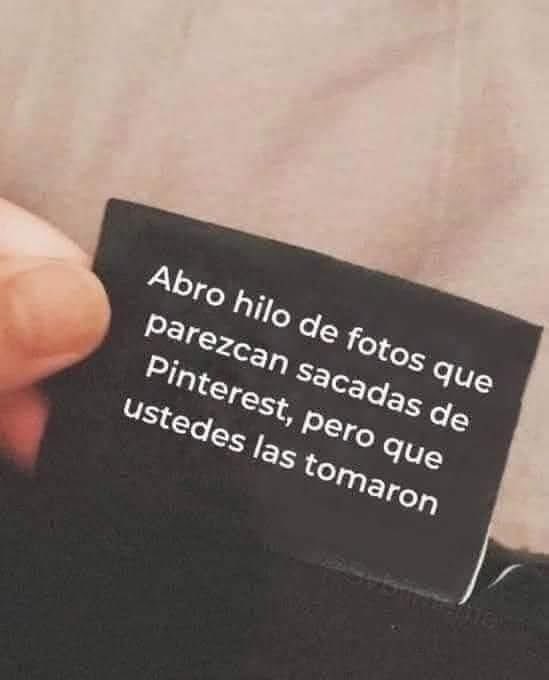 Palomín tweet media