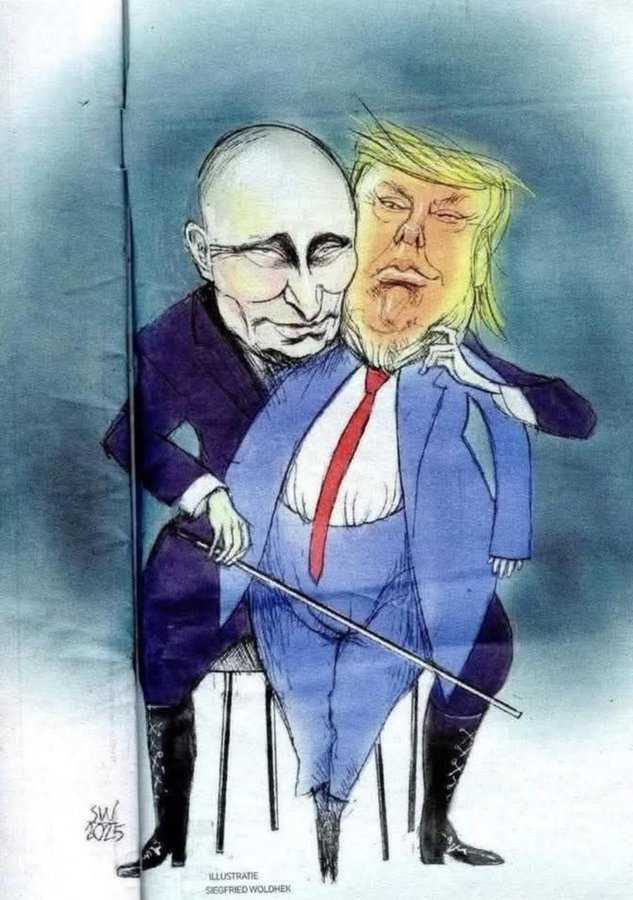 New England Fella 🇺🇸 🇺🇦 #NAFO tweet media