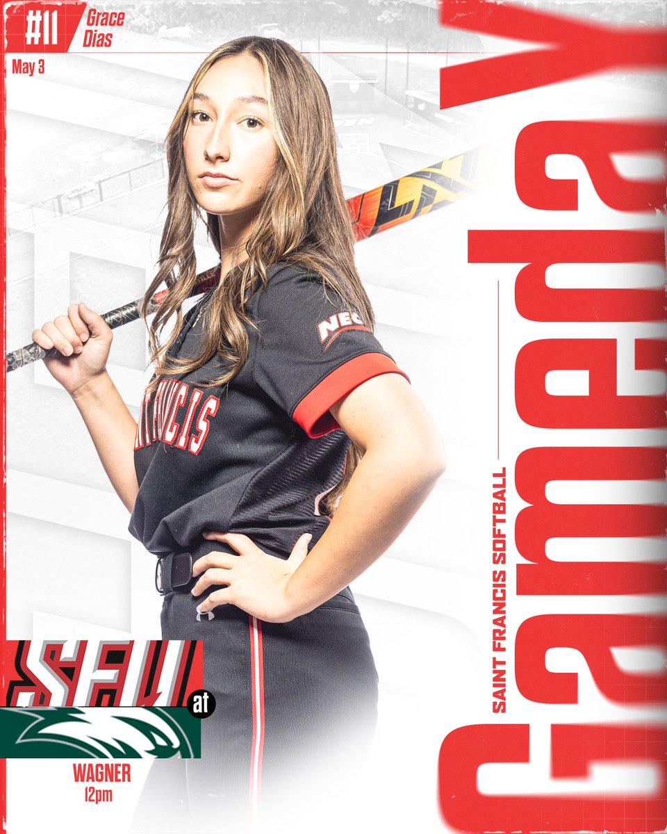 Saint Francis Softball tweet media