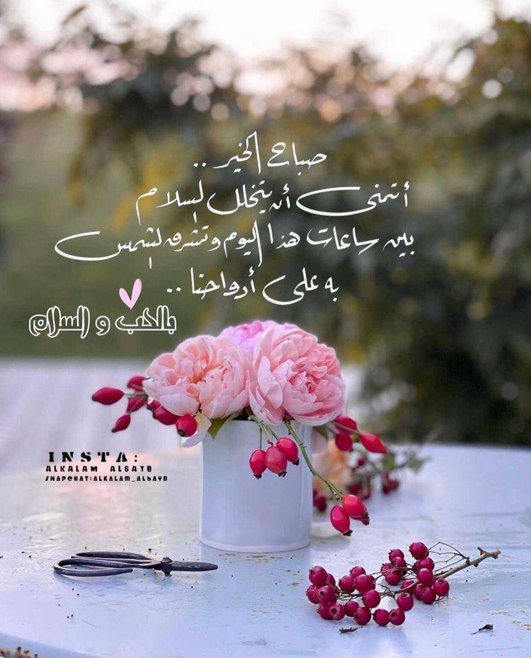 فـۦ⃪ـ𝐴ۦ⃪ـلا⃪نــه🦋🗞️ tweet media