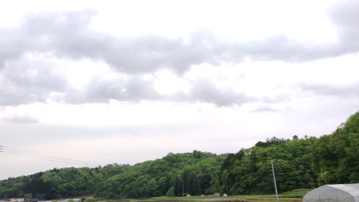 真奈美 tweet media