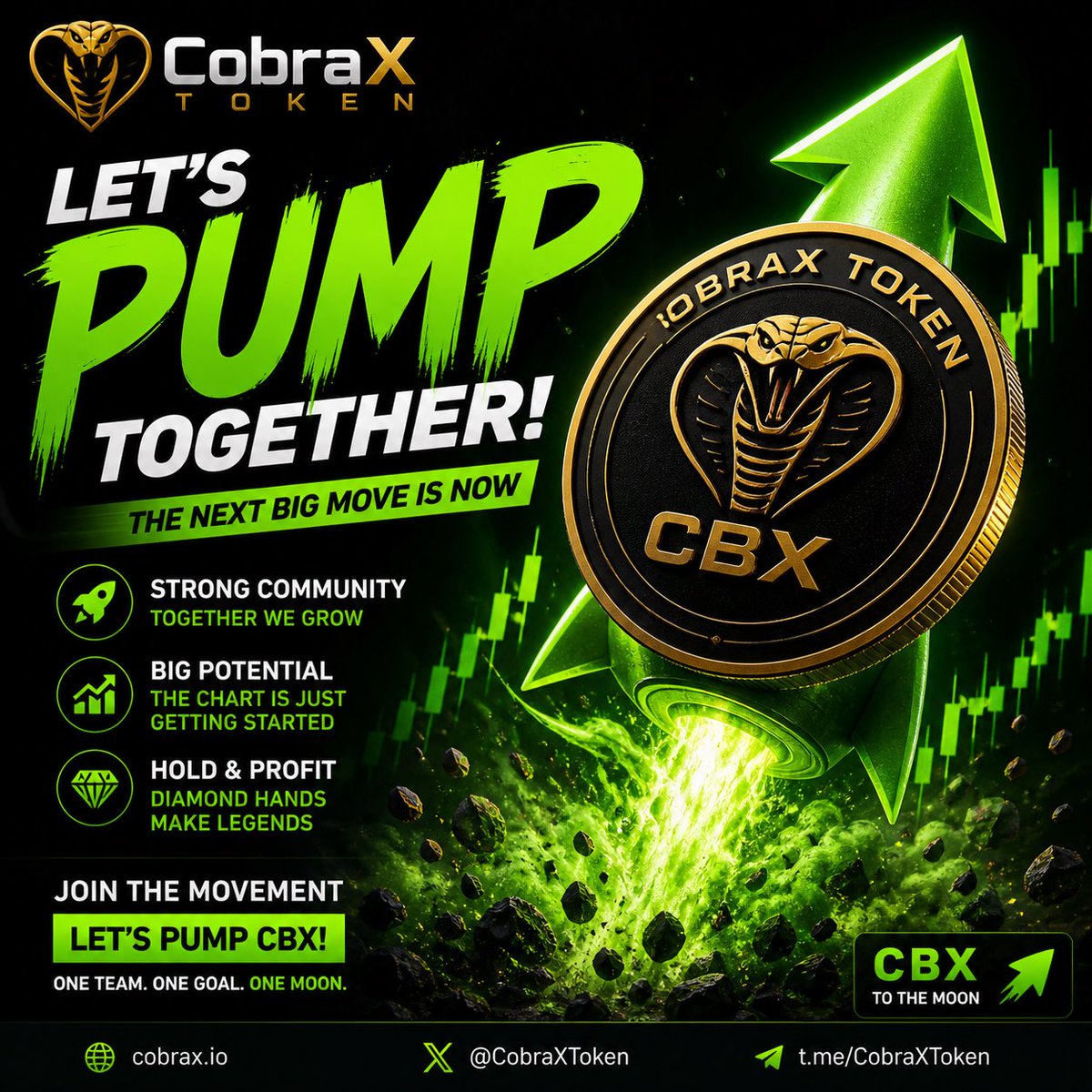 CobraX Token tweet media