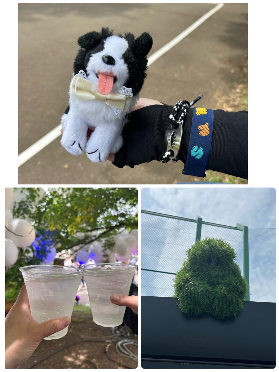 sumika_panda's tweet photo. JAPAN JAM来たー✨✨
めっちゃ！楽しみー！！
まずはかんぱ〜い
#sumika
#JJ2026 https://t.co/Io8OeMIt8K