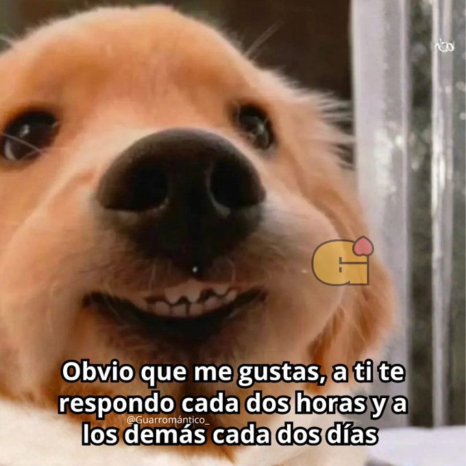 FraseSimple's tweet photo. https://t.co/fu4fOO99lm