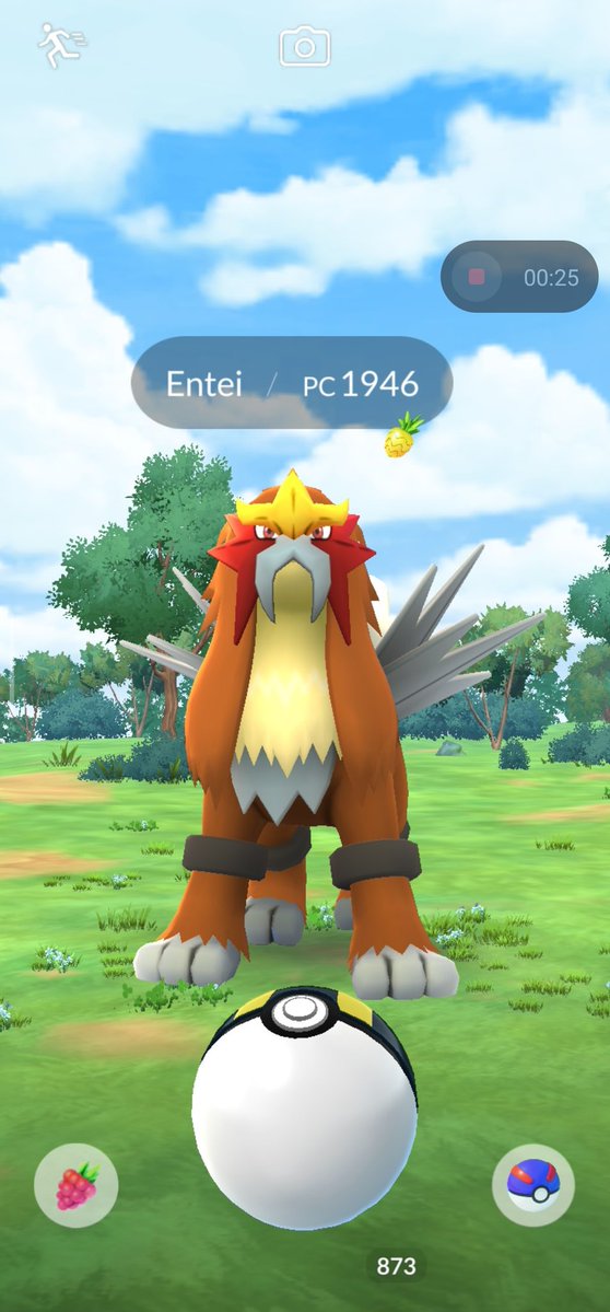 ZagnerGarden's tweet image. La primera vez que pude terminar un pase a unos días antes de que terminará ✌🏻😅
Obteniendo al gran Entei en mi equipo!!! 🥳

#Entei 🦁🔥
#Pokémongo / #ポケモンGO