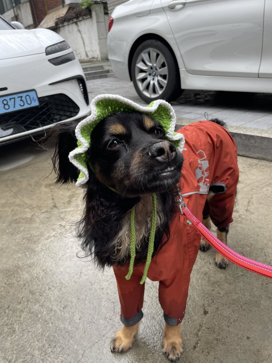 앰버와 앰언🎃 tweet media