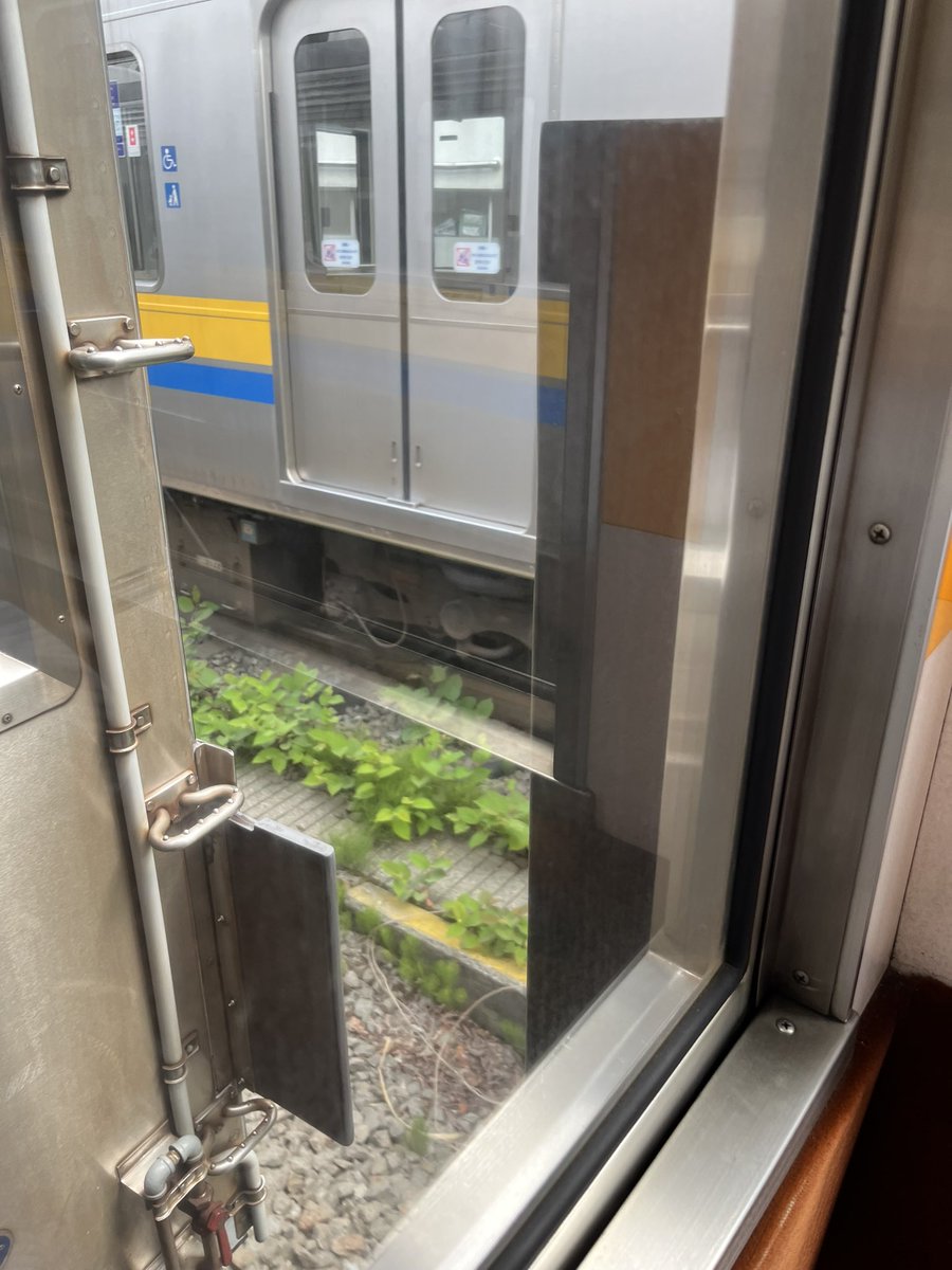 ひる準 tweet media