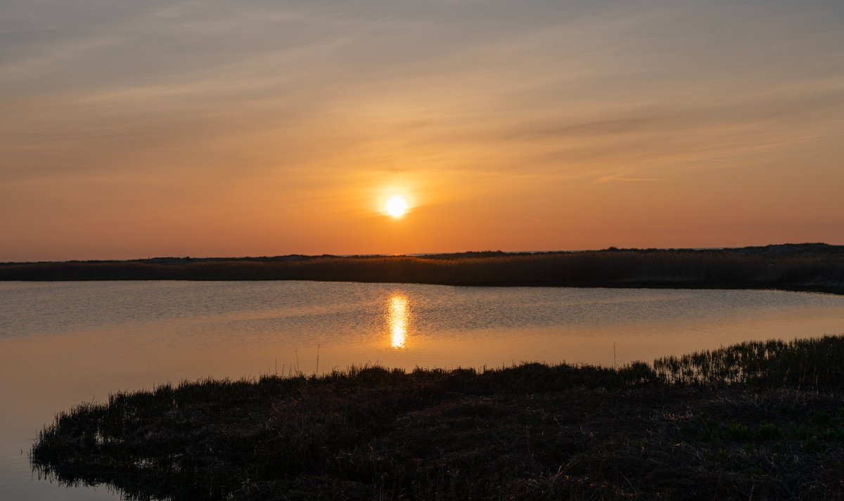 DorteHedengran's tweet photo. A beautiful morning by the lagoon🌞

#Denmark #May3rd #Nature #Photooftheday #SundayVibes #SundayMorning #sunrise 

📸Dorte Hedengran https://t.co/MzzpxSslPT