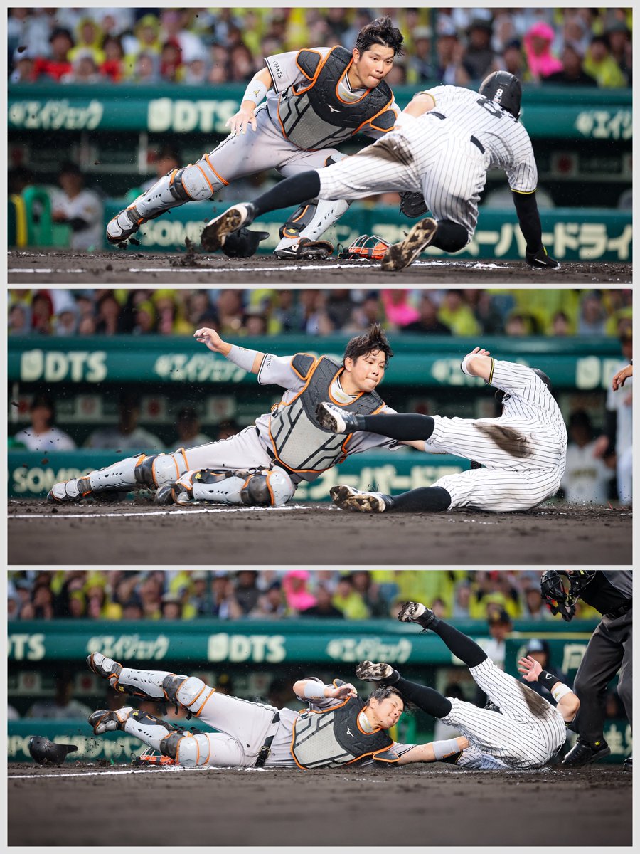 小林泰斗📷スポーツ報知 tweet media