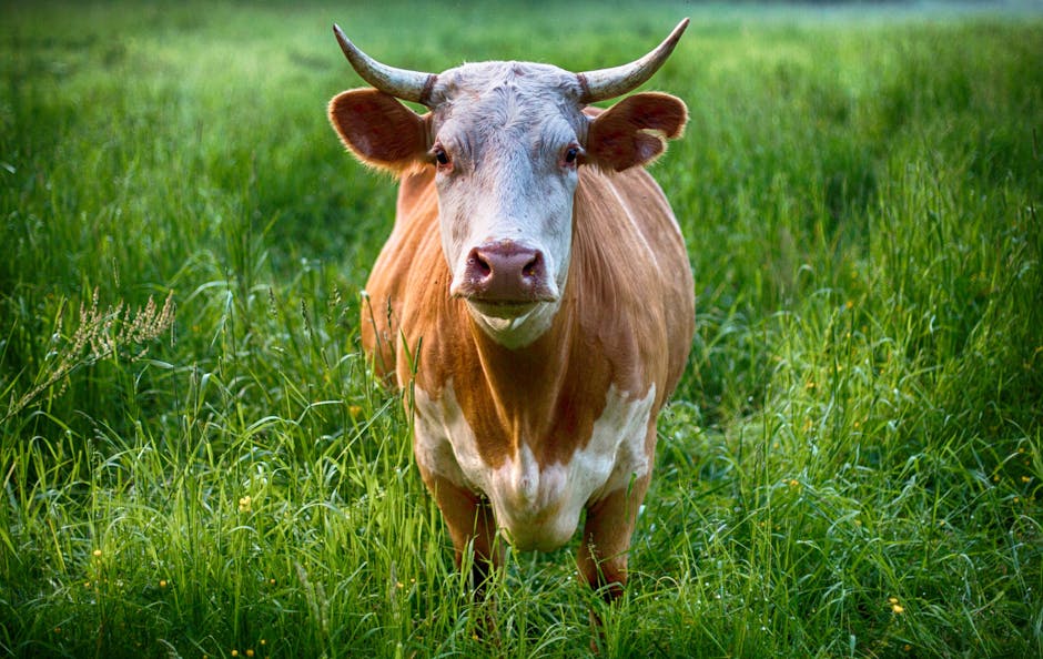 Samantha Logan tweet media