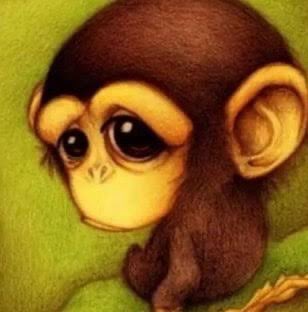 Abel Ixco fan account tweet media