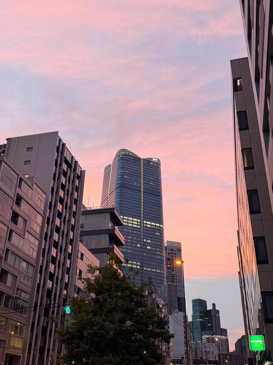 이끼 tweet media