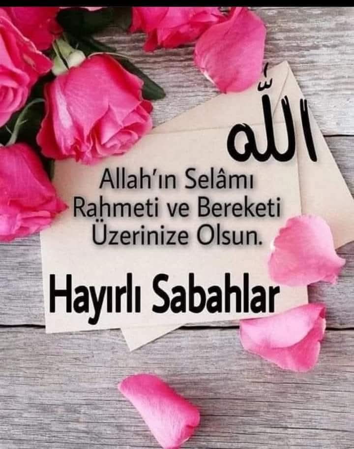 selamün aleyküm🇹🇷🙋🏻‍♂️
güne bismillah 🤲🏻🌹

ALLAHÜME sali ala seyidina muhammed 

#hayırlı sabahlar 
huzurlu pazar günü geçirmeniz dileğimle inşallah 

ALLAH rahatlık versin