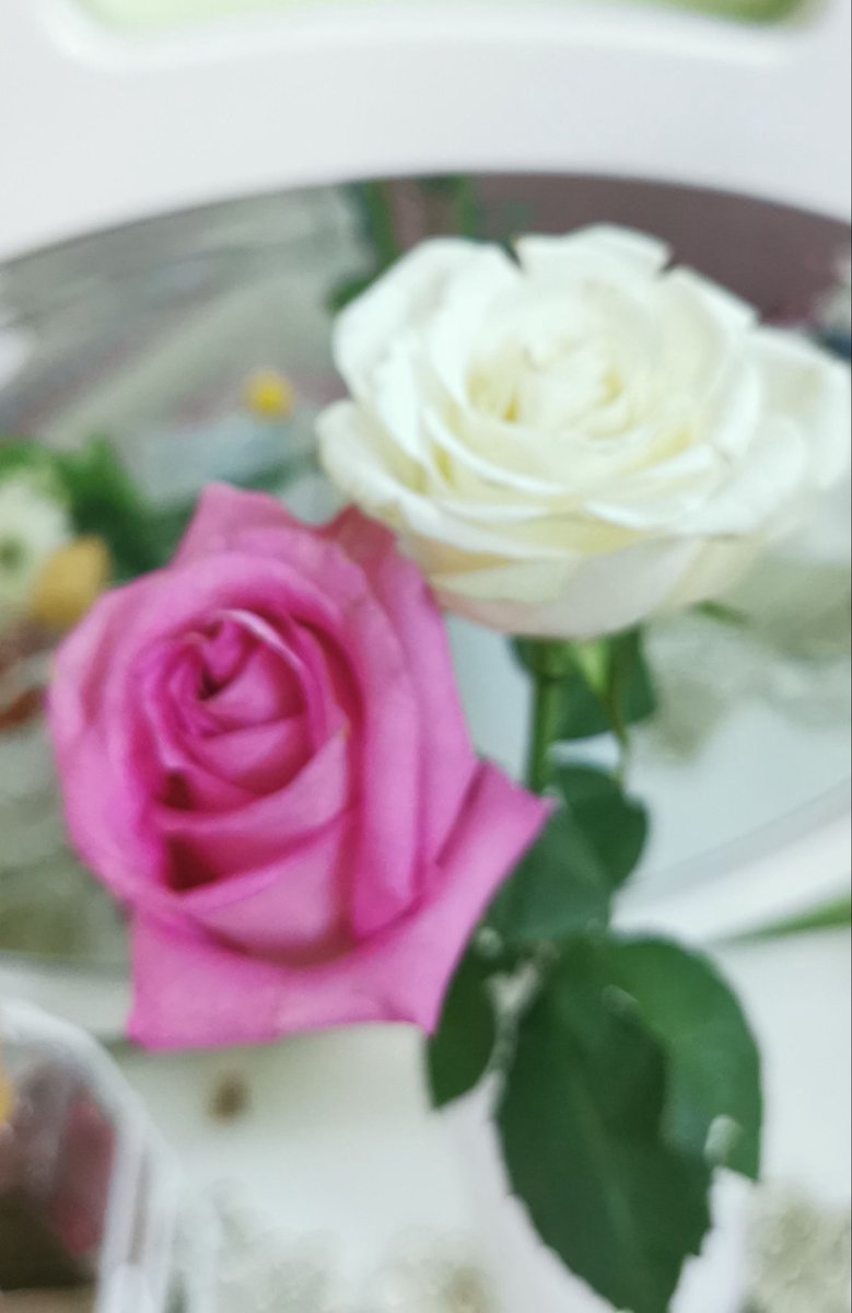 يـوشا الشاطري 🎗️ tweet media