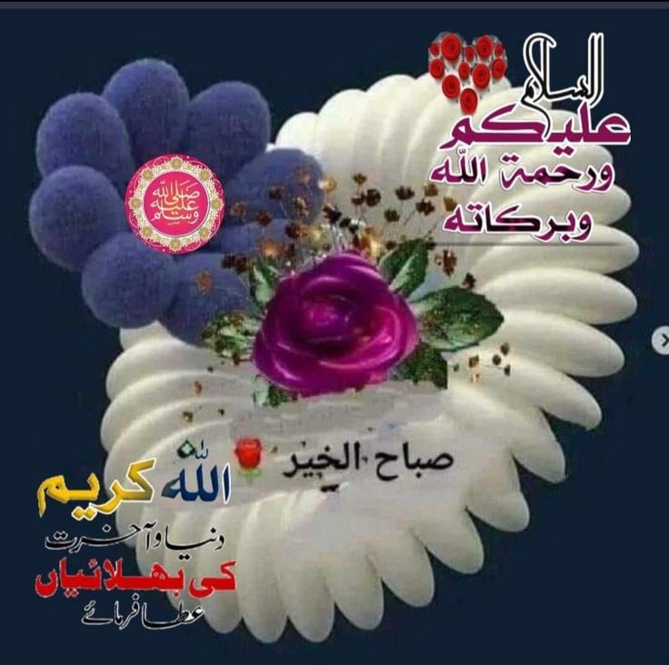 YASEEN tweet media