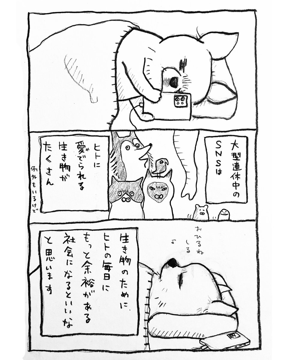 橋本もく tweet media