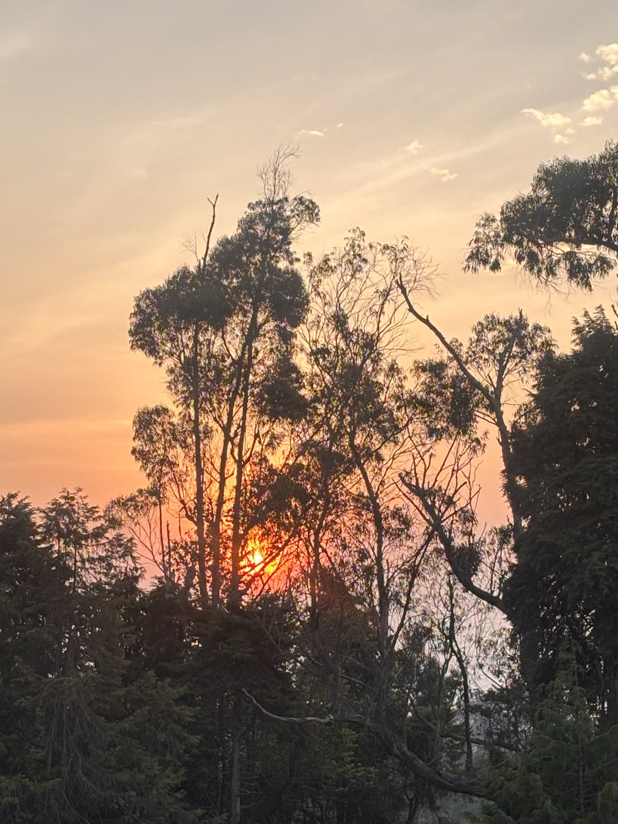AyeDhanno's tweet photo. Kodai mornings ๐
#ayedhannotravels #kodaikanal https://t.co/gHViwHQj8E