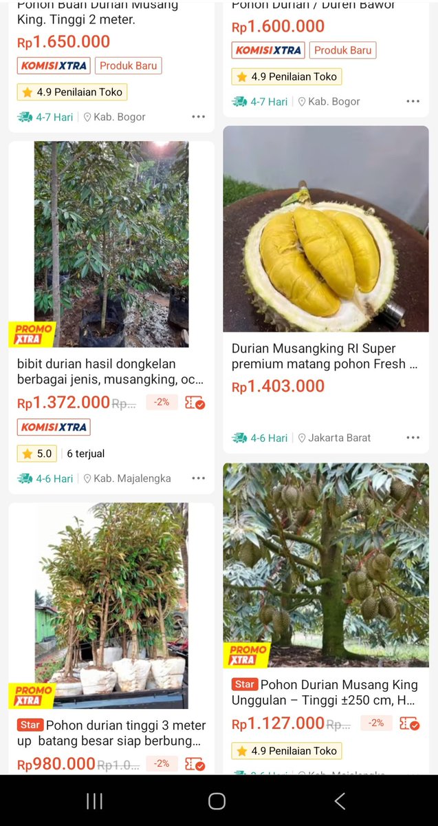 ertigaID tweet media