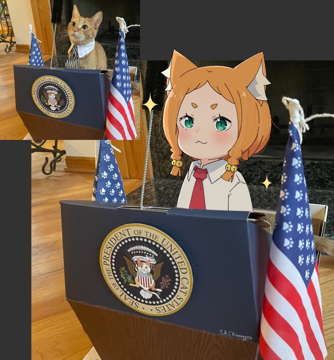 たまご tweet media