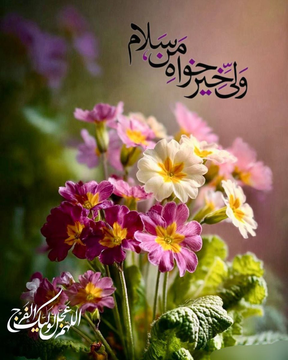 مریم سلیمانی tweet media