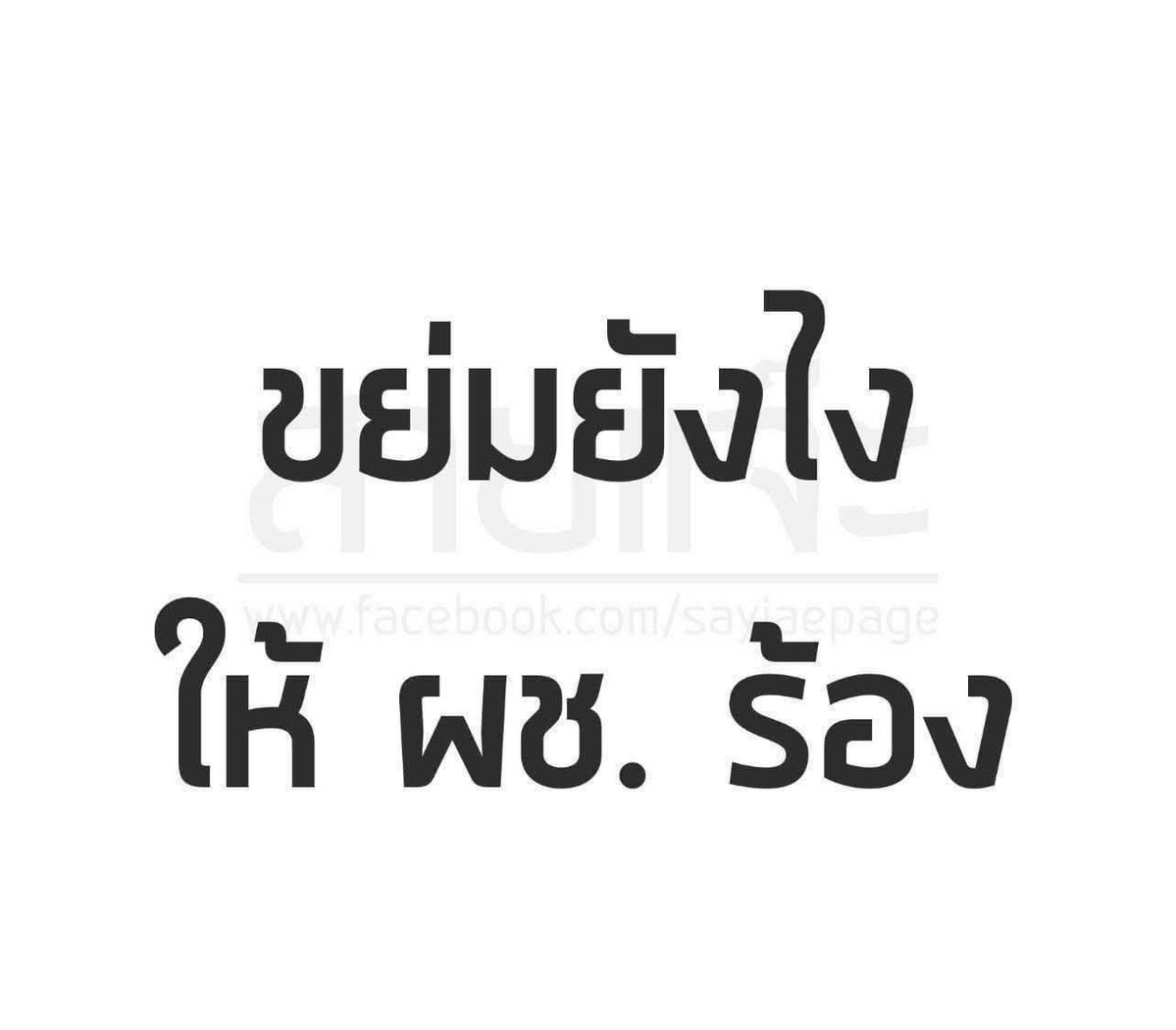 Aof pairyna tweet media