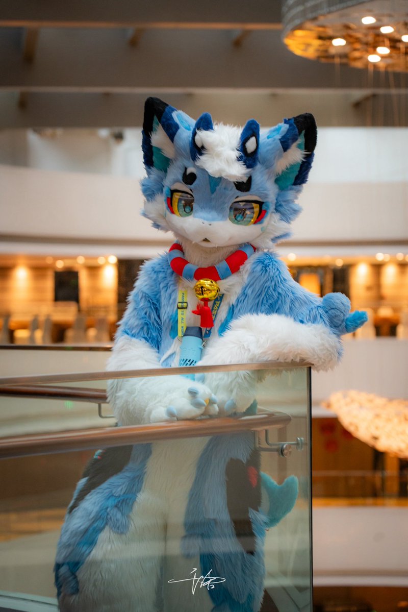 猫九 tweet media