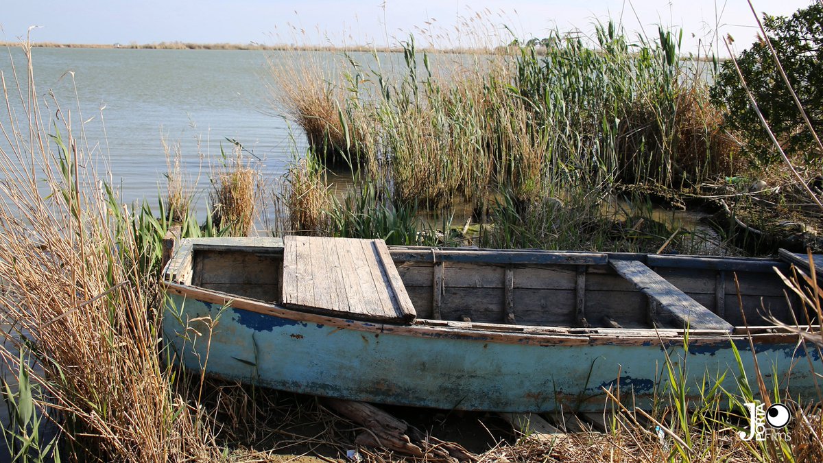 El pas del temps
Parc Natural del Delta de l'Ebre.
#Catalunya #natura #fotografia #photo #photography #PhotoArt #ThePhotoHour
