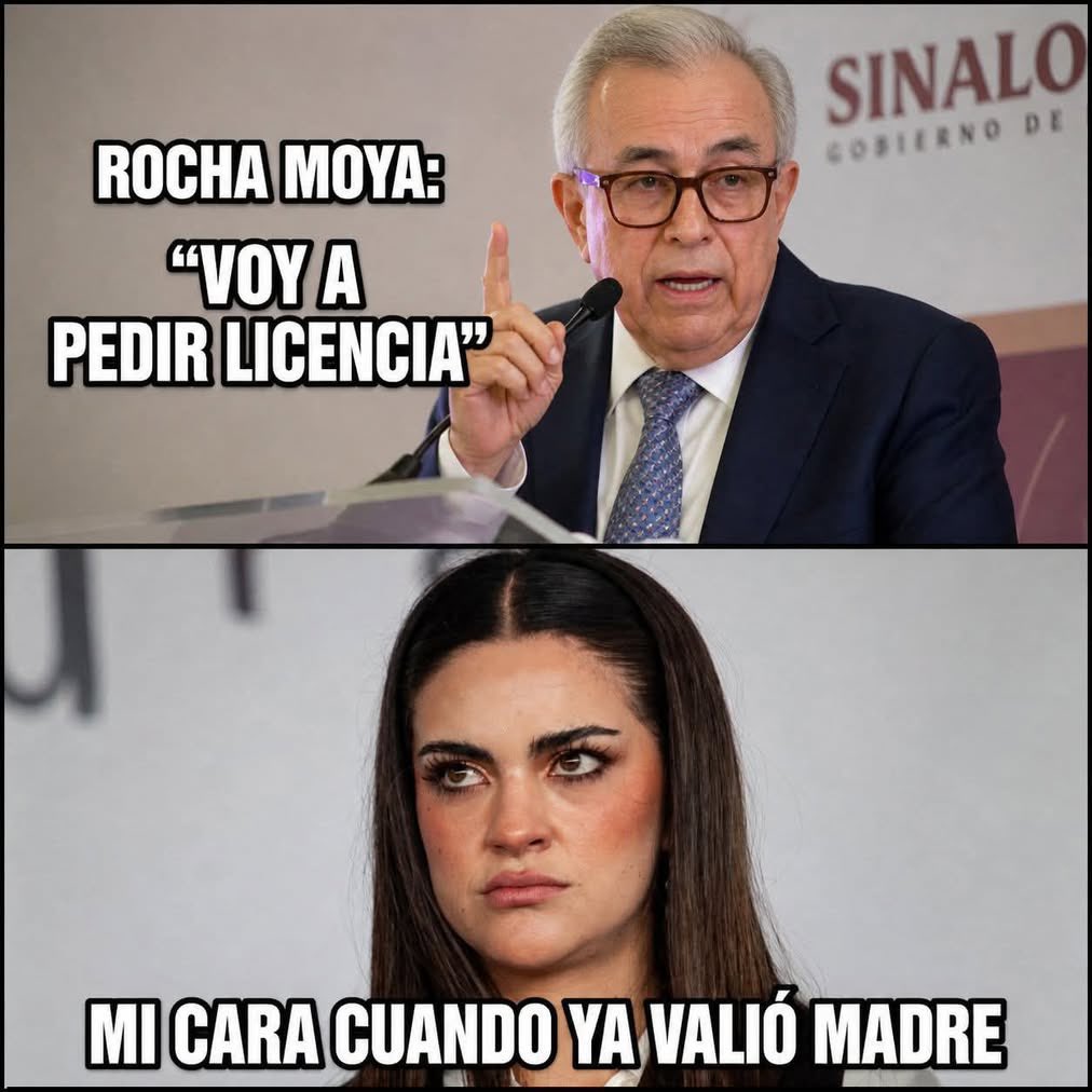 Jorge Nogueda Simón tweet media