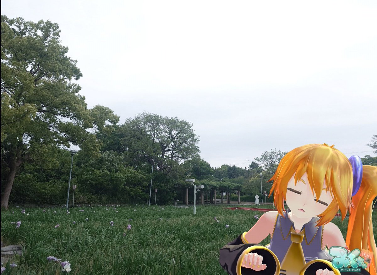 京の藤猫 tweet media