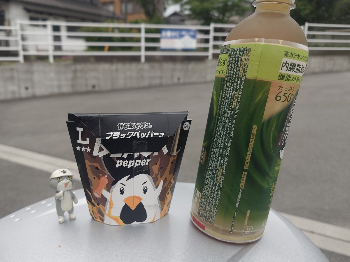 京の藤猫 tweet media