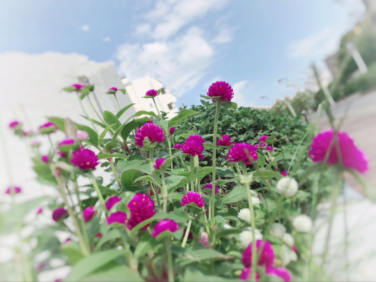 ゆり🍀 tweet media
