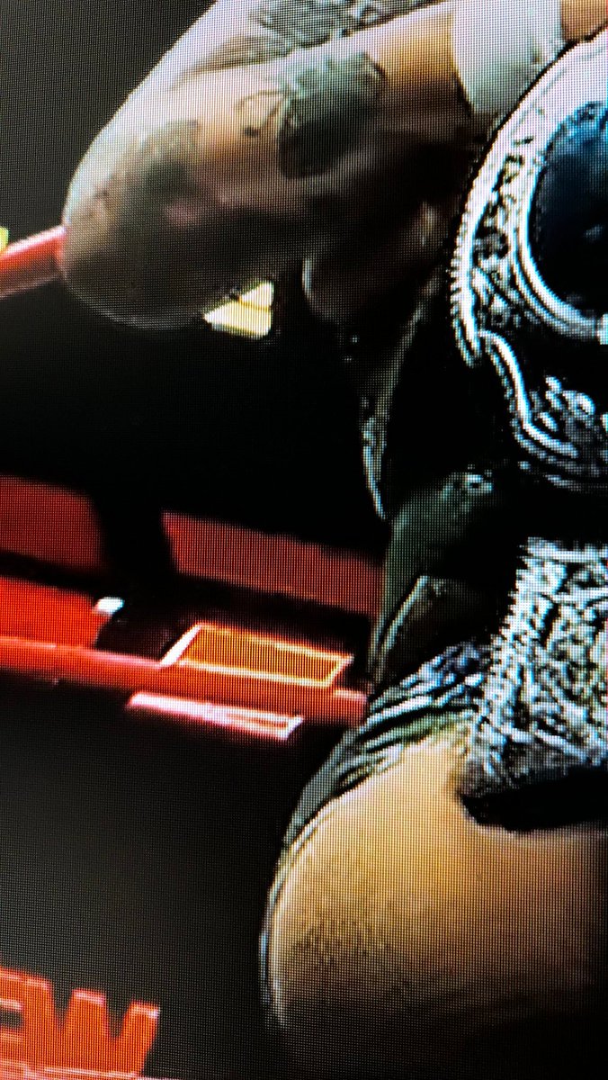 SENDINGMYTWEETS's tweet image. Wrestling fan:

willow Nightingale  had a nip slip / tiny wardrobe munfunction   during  5/2/2026 #AEW #AEWCOLLISON 

#WRESTLINGCOMMUNITY