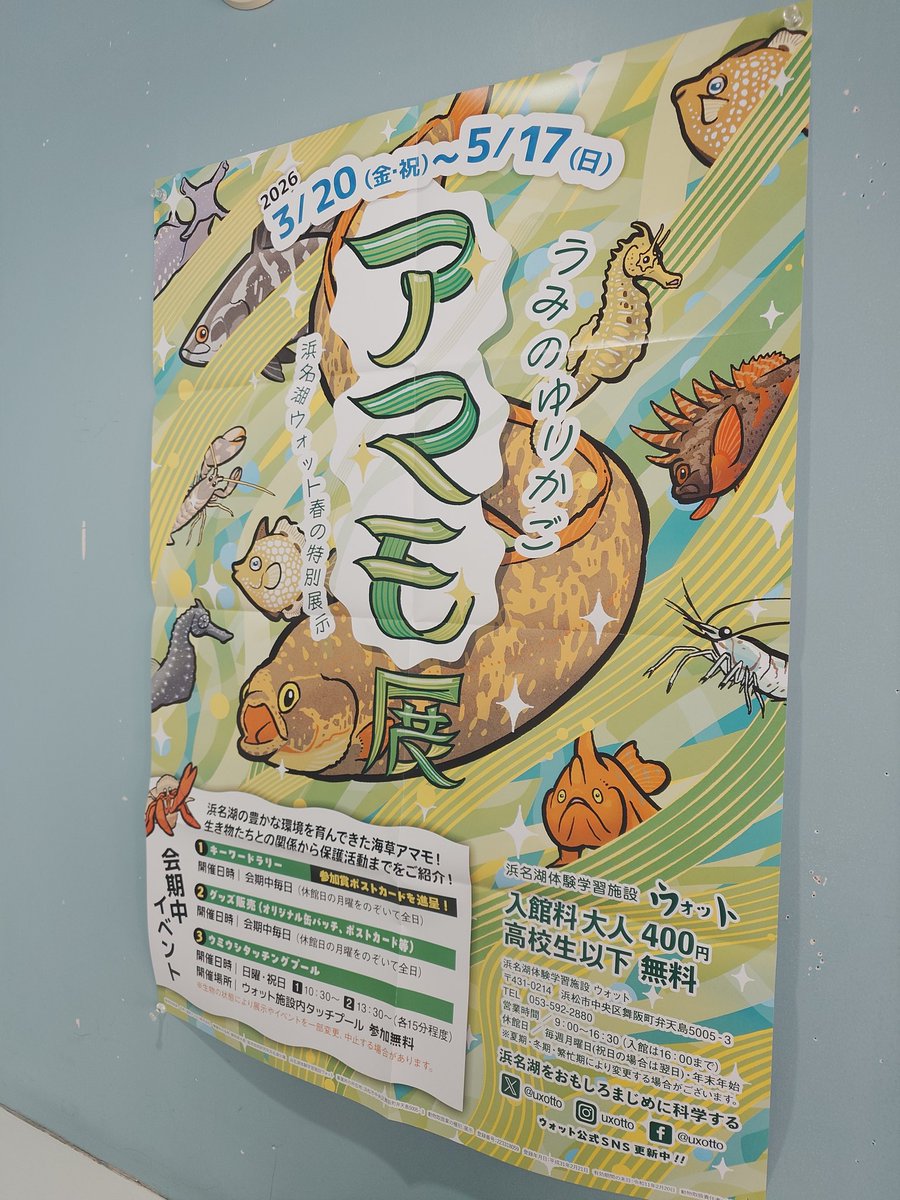 ぐ ΣA（n=0→∞）【ぽ】トキ デヴィッド tweet media