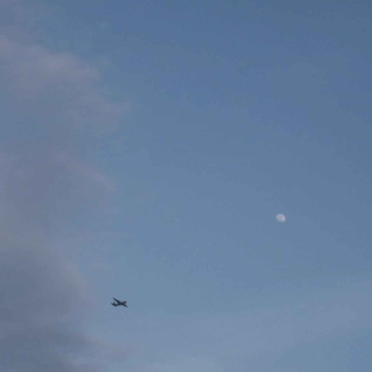 byCouC6CSAiq9MV's tweet image. #ファインダー  #photography  #写真撮ってる人と繋がりたい