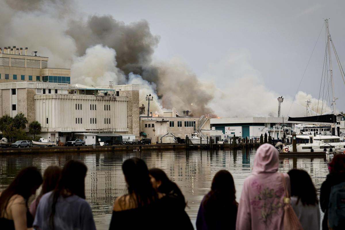 WayneTech SPFX®️ tweet media