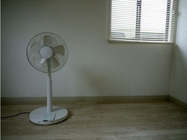 바람 tweet media
