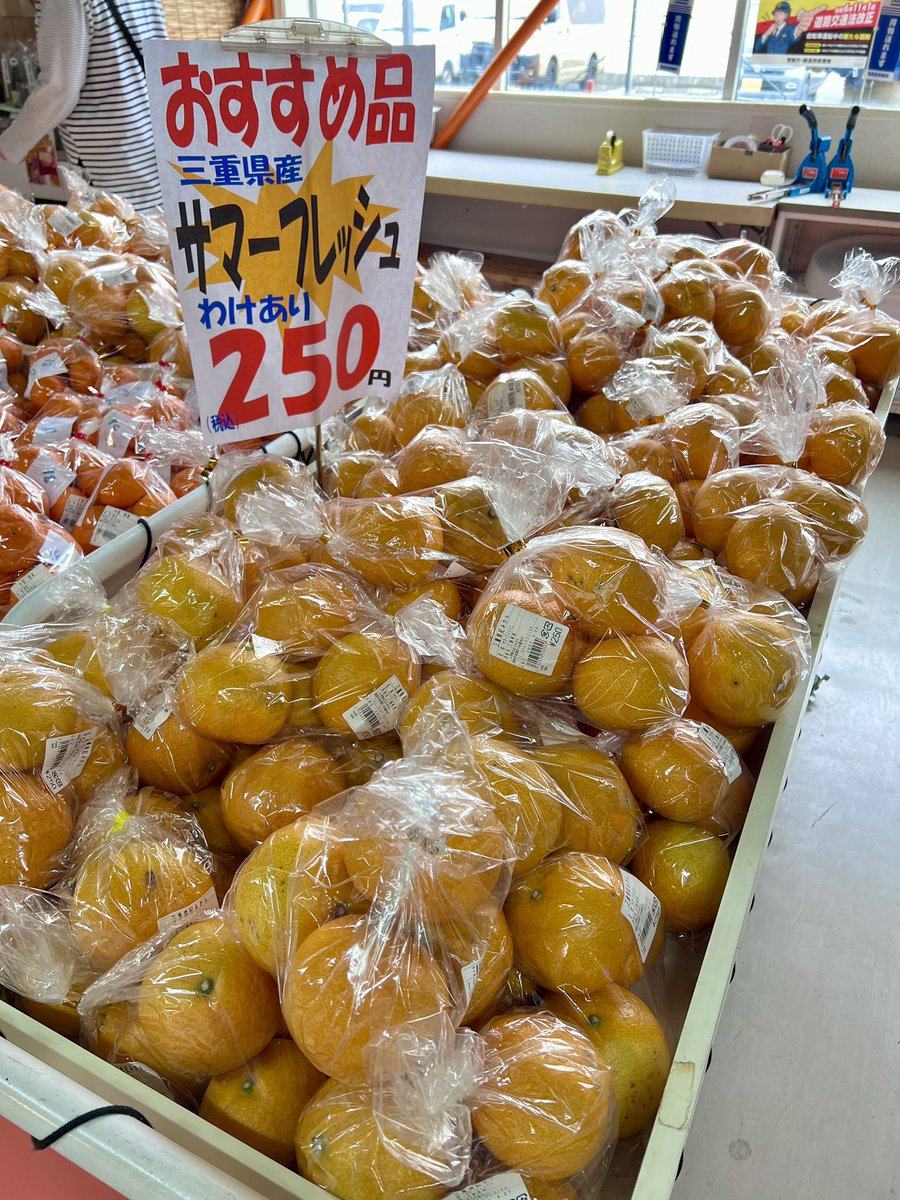 今が旬の品種🍊サマーフレッシュ🍊🍊 熊野市のJA産直🍊ほほえみかん
