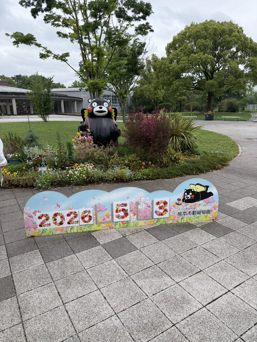 マッキンリー_VRC tweet media