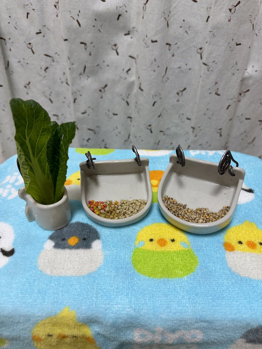 きこ tweet media