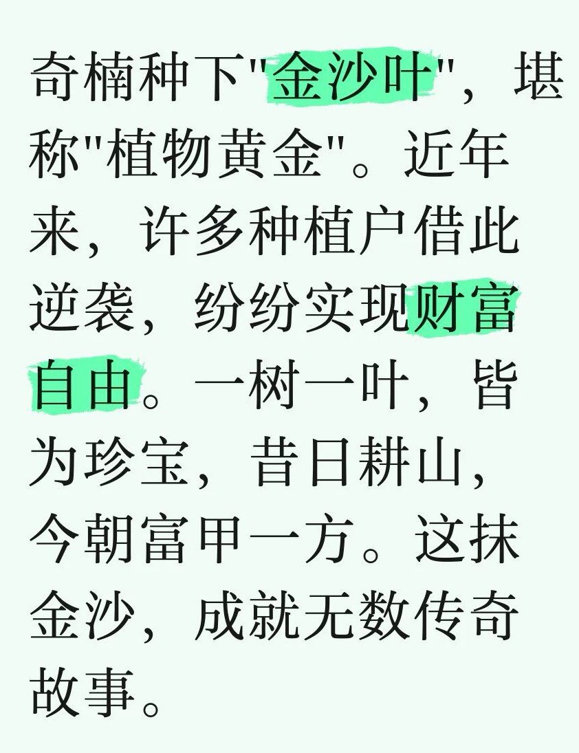 Coinpro49441181's tweet photo. 奇楠种下"金沙叶"，堪称"植物黄金"。近年来，许多种植户借此逆袭，纷纷实现财富自由。一树一叶，皆为珍宝，昔日耕山，今朝富甲一方。这抹金沙，成就无数传奇故事。 https://t.co/TCuYDxmKKA