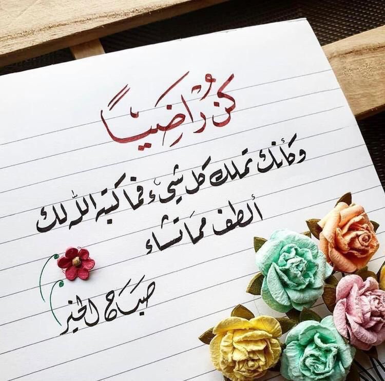 محمد الأيوبي 🌼 tweet media