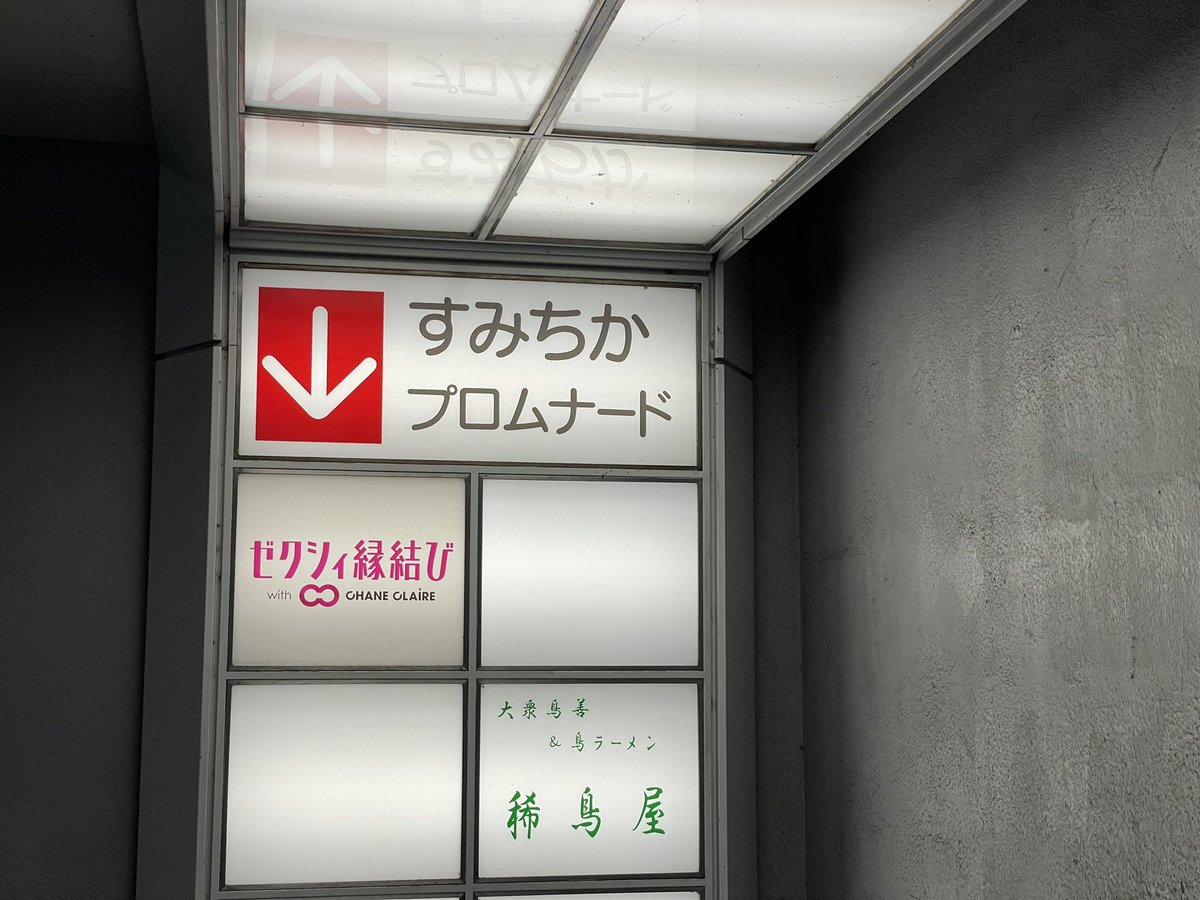 沼皇🪷 tweet media