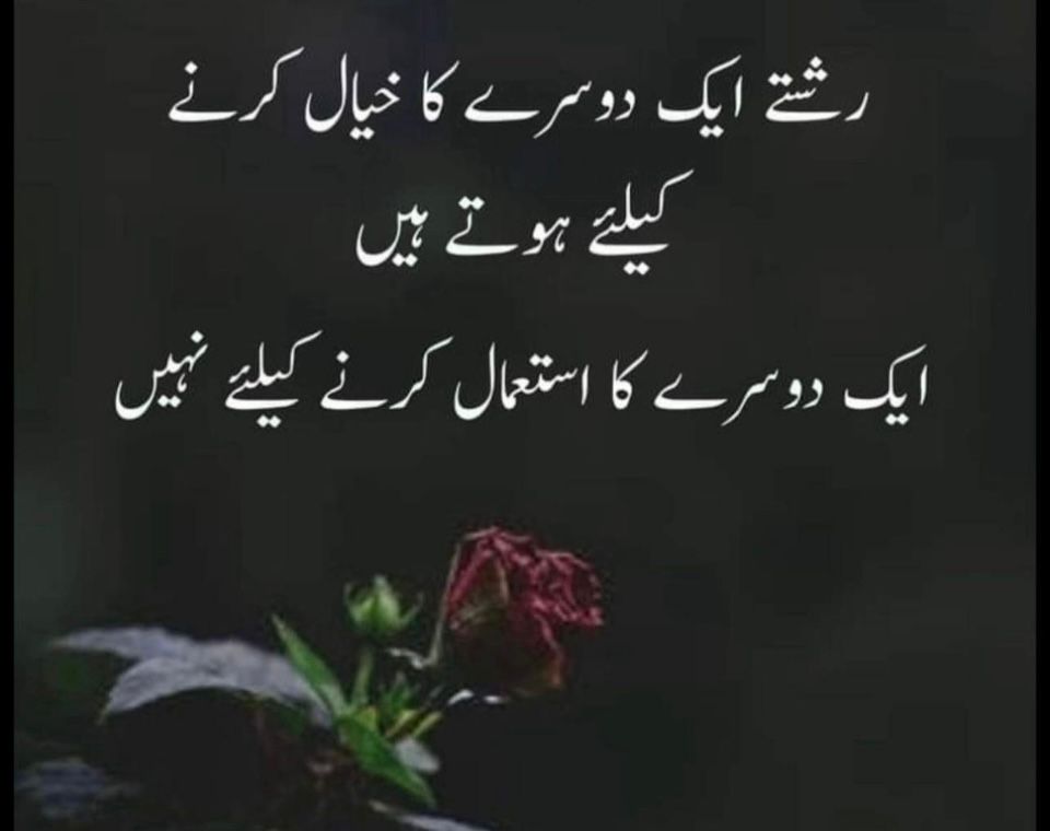 Farooq Malik tweet media