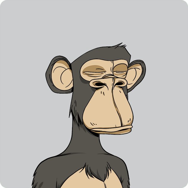 HappyMonkeyMountHuaguo🦍🐒🍶 tweet media